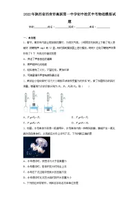 2022年陕西省西安市高新第一中学初中校区中考物理模拟试题(含解析)