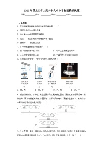 2023年黑龙江省大庆六十九中中考物理模拟试题（含解析）