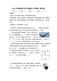 2023年河南省驻马店市驿城区中考物理一模试卷(含解析)