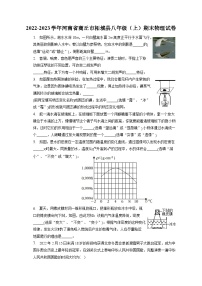 2022-2023学年河南省商丘市柘城县八年级（上）期末物理试卷（含解析）