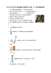 2022-2023学年山东省德州市临邑县九年级（上）期末物理试卷（含解析）