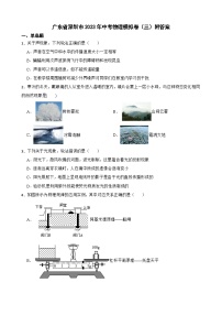广东省深圳市2023年中考物理模拟卷(三)附答案