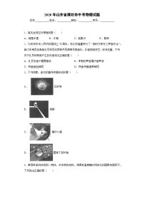 山东省潍坊市2020年中考物理试题-