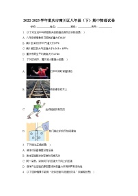 2022-2023学年重庆市南川区八年级（下）期中物理试卷（含解析）