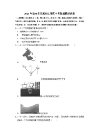 2023年云南省玉溪市红塔区中考物理模拟试卷