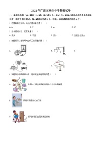 精品解析：2022年广西玉林市中考物理试题（原卷版）