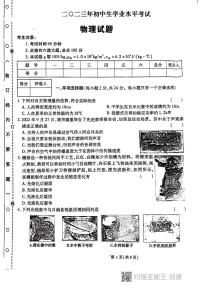 +黑龙江省虎林市实验中学2022-2023学年下学期九年级物理中考模拟考试