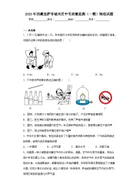 2023年西藏拉萨市城关区中考质量监测（一模）物理试题（含解析）