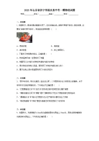 2023年山东省济宁市泗水县中考一模物理试题(含解析)