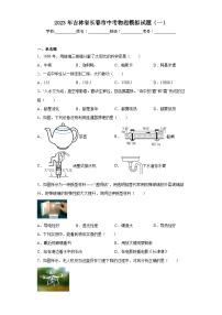 2023年吉林省长春市中考物理模拟试题（一）（含解析）
