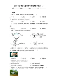 2023年吉林省长春市中考物理模拟试题(一)(含解析)