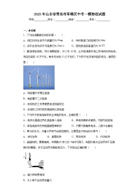 2023年山东省青岛市即墨区中考一模物理试题（含解析）