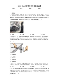 2023年山东省枣庄市中考物理试题(含答案)