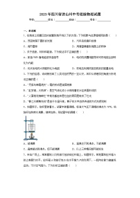 2023年四川省凉山州中考理综物理试题(含答案)