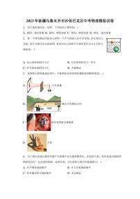 2023年新疆乌鲁木齐市沙依巴克区中考物理模拟试卷
