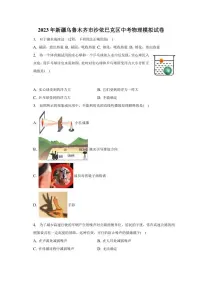 2023年新疆乌鲁木齐市沙依巴克区中考物理模拟试卷