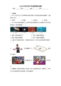 2023年贵州省中考理综物理试题(含解析)