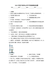2023年四川省凉山州中考理综物理试题（含解析）