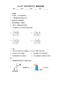 2023年广东省东莞市中考二模物理试题（无答案）