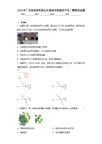 2023年广东省深圳市南山外国语学校集团中考二模物理试题（含解析）