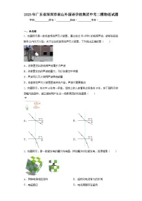 2023年广东省深圳市南山外国语学校集团中考二模物理试题（含解析）