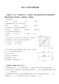 2023年上海市中考物理真题