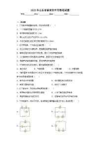 2023年山东省泰安市中考物理试题（含答案）