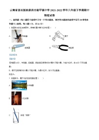 精品解析：云南省西双版纳景洪市勐罕镇中学2021-2022学年八年级下学期期中物理试题（解析版）