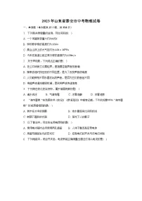 2023年山东省泰安市中考物理试卷（含解析）