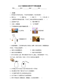 2023年湖南省岳阳市中考物理真题（含答案）