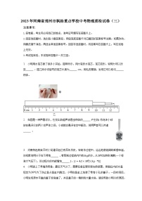 2023年河南省郑州市枫杨重点学校中考物理质检试卷（三）