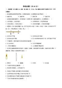 2023年江苏省连云港市中考物理试题（原卷版）