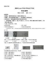 2023年湖南省株洲市中考物理试题(无答案)