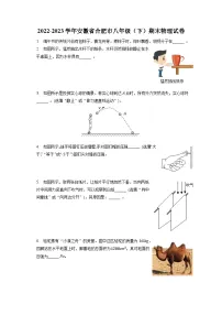 安徽省合肥市2022-2023学年八年级下学期期末物理试卷（含答案）