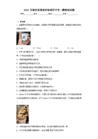 2023年陕西省渭南市临渭区中考二模物理试题（含答案）