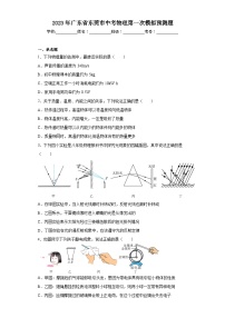 2023年广东省东莞市中考物理第一次模拟预测题（含解析）