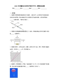 2023年安徽省合肥市庐阳区中考二模物理试题（含答案）