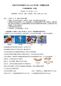 新疆维吾尔自治区乌鲁木齐市2022-2023学年八年级下学期7月期末物理试题（含答案）