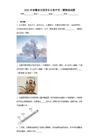 2023年安徽省合肥市长丰县中考二模物理试题（含答案）