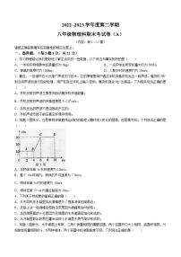 广东省汕头市潮南区陈店镇2022-2023学年八年级下学期期末物理试题（含答案）