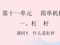 初中物理苏科版九年级全册第十一章 简单机械和功1 杠杆作业ppt课件