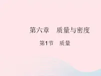 初中物理人教版八年级上册第1节 质量作业课件ppt
