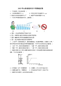 2023年山东省滨州市中考物理试卷（含答案解析）
