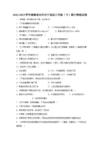 2022-2023学年湖南省永州市宁远县八年级（下）期中物理试卷