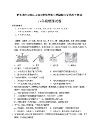 贵州省黔东南州2022-2023学年八年级下学期期末物理试卷（含答案）