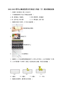 2022-2023学年云南省昆明市石林县八年级（下）期末物理试卷（含解析）