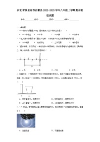 河北省秦皇岛市昌黎县2022-2023学年八年级上学期期末物理试题