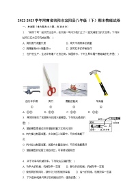 2022-2023学年河南省洛阳市宜阳县八年级（下）期末物理试卷（含解析）