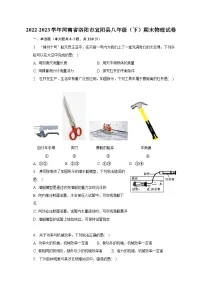 2022-2023学年河南省洛阳市宜阳县八年级（下）期末物理试卷（含解析）