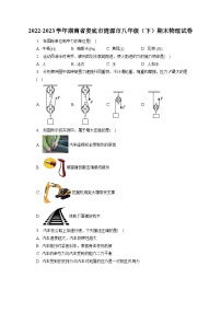 湖南省娄底市涟源市2022-2023学年八年级下学期期末物理试卷